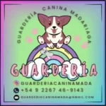 Guardería canina Madariaga 🐶 - Cuidado de perros